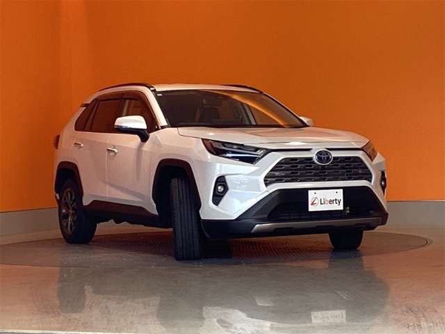 トヨタ ＲＡＶ４ ２．５ ハイブリッド Ｇ Ｅ－ＦＯＵＲ ４ＷＤ R5年 (近畿) 99