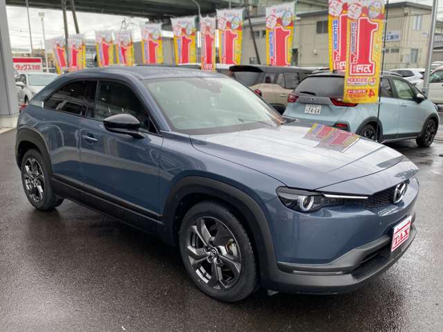 マツダ ＭＸ−３０ ２．０ R3年 (東北) 99