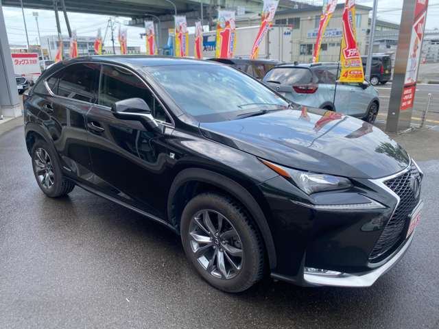 レクサス ＮＸ３００ｈ Ｆスポーツ H28年 (東北) 99