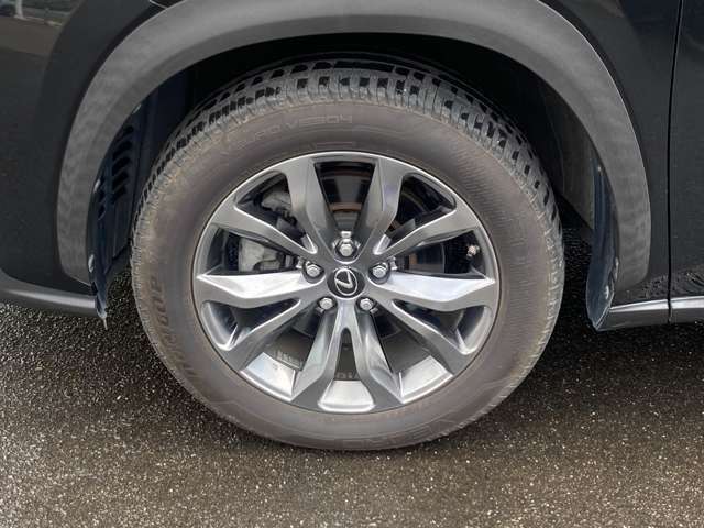レクサス ＮＸ３００ｈ Ｆスポーツ H28年 (東北) 99