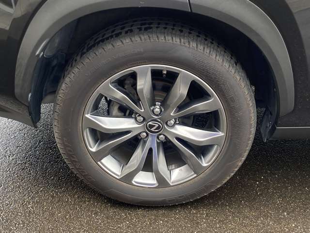 レクサス ＮＸ３００ｈ Ｆスポーツ H28年 (東北) 99