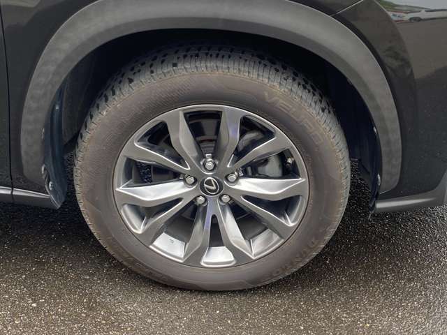レクサス ＮＸ３００ｈ Ｆスポーツ H28年 (東北) 99