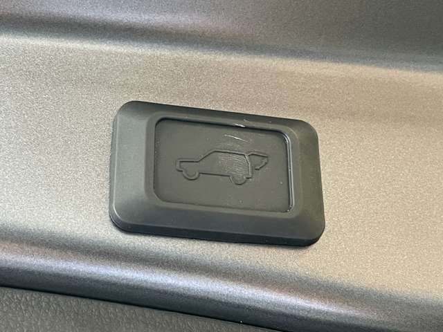 トヨタ ＲＡＶ４　ＰＨＶ ２．５ ブラック トーン Ｅ－ＦＯＵＲ ４ＷＤ R2年 (甲信越・北陸) 99