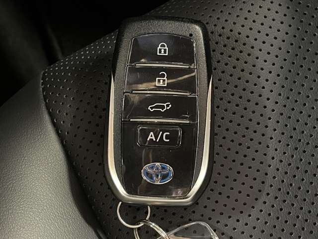 トヨタ ＲＡＶ４　ＰＨＶ ２．５ ブラック トーン Ｅ－ＦＯＵＲ ４ＷＤ R2年 (甲信越・北陸) 99