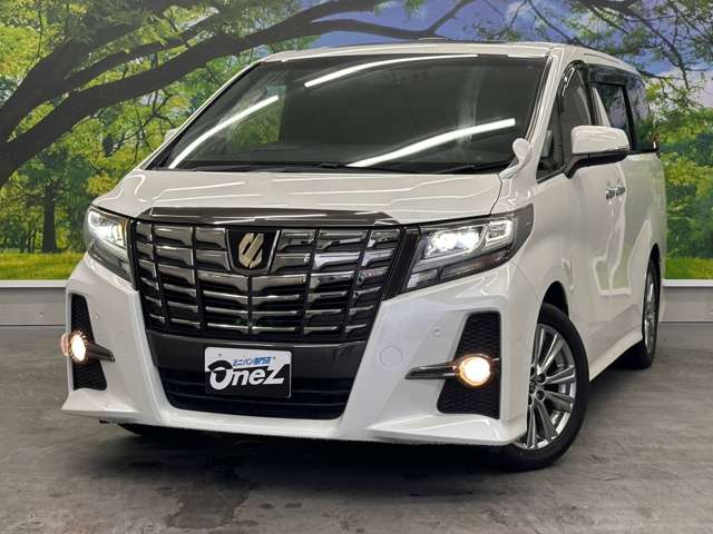 トヨタ アルファード ２．５ Ｓ Ａパッケージ タイプ ブラック H28年 () 99