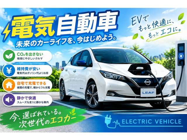 日産 リーフ ３０ＫＷＨ Ｘ H29年 (東海) 99
