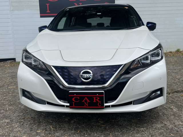 日産 リーフ Ｇ H30年 (関東) 99