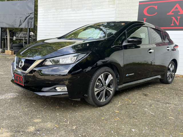 日産 リーフ Ｇ R1年 (関東) 99