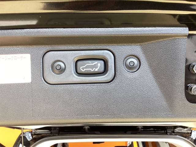 三菱 デリカ　Ｄ：５ ２．２ シャモニー 電動サイドステップ非装着車 ディーゼルターボ ４ＷＤ R8年 (近畿) 99