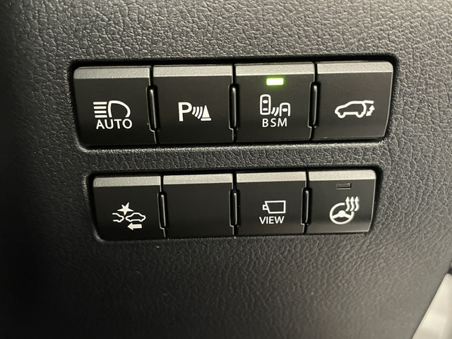 レクサス ＮＸ２００ｔ バージョンＬ H27年 (甲信越・北陸) 99