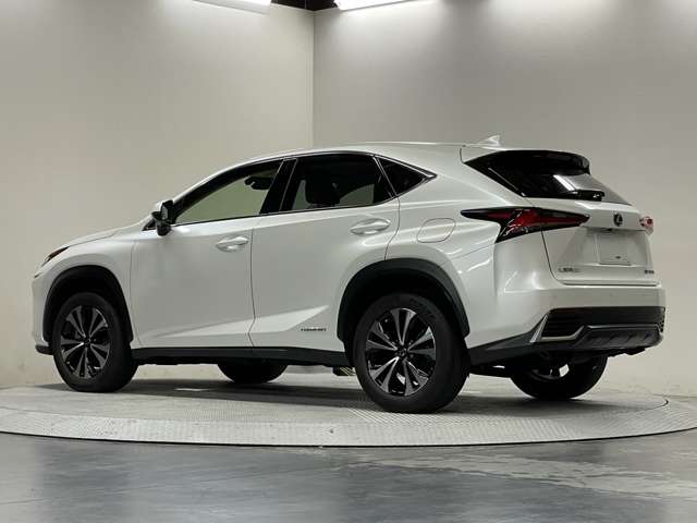 レクサス ＮＸ３００ｈ Ｉパッケージ R1年 (甲信越・北陸) 99