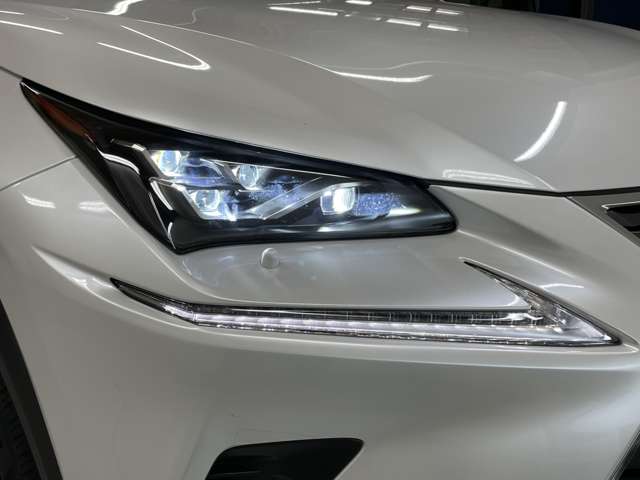 レクサス ＮＸ３００ｈ Ｉパッケージ R1年 (甲信越・北陸) 99