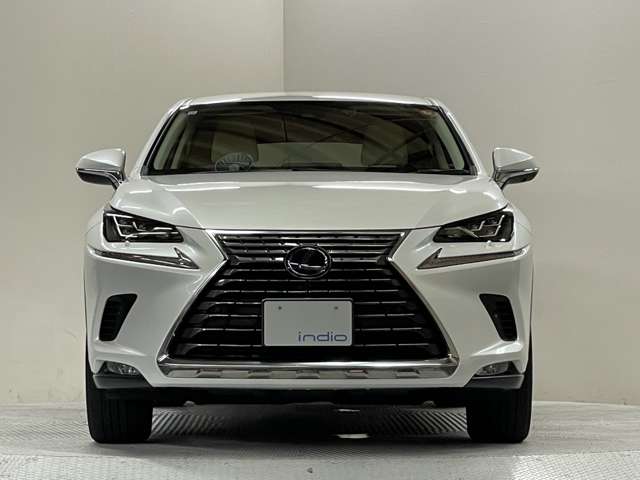 レクサス ＮＸ３００ｈ Ｉパッケージ R1年 (甲信越・北陸) 99