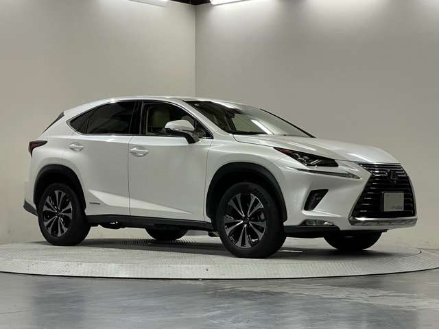 レクサス ＮＸ３００ｈ Ｉパッケージ R1年 (甲信越・北陸) 99