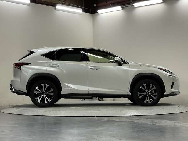 レクサス ＮＸ３００ｈ Ｉパッケージ R1年 (甲信越・北陸) 99