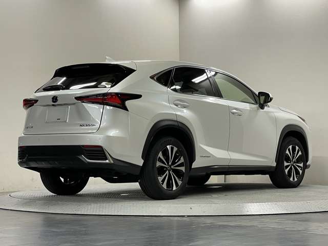レクサス ＮＸ３００ｈ Ｉパッケージ R1年 (甲信越・北陸) 99