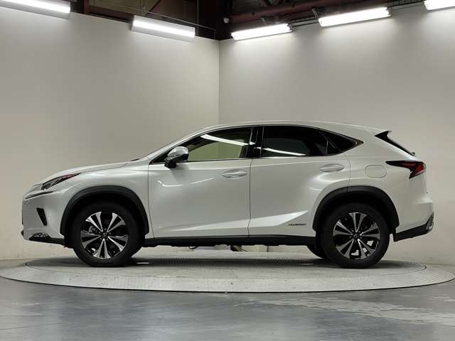 レクサス ＮＸ３００ｈ Ｉパッケージ R1年 (甲信越・北陸) 99