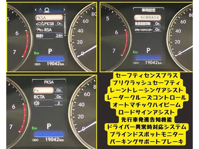 レクサス ＩＳ３００ｈ バージョンＬ R5年 (東海) 99