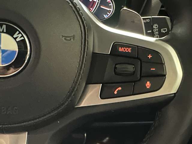 ＢＭＷ Ｘ３ Ｘドライブ２０Ｄ Ｍスポーツ ディーゼルターボ ４ＷＤ R1年 () 99