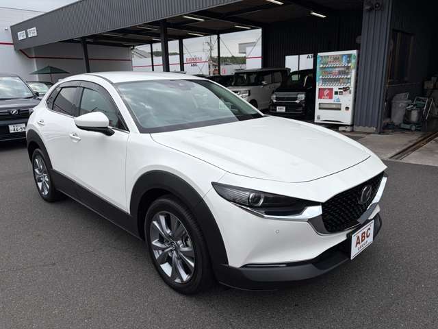 マツダ ＣＸ−３０ ２．０ ２０Ｓ プロアクティブ ツーリングセレクション R5年 (中国) 99