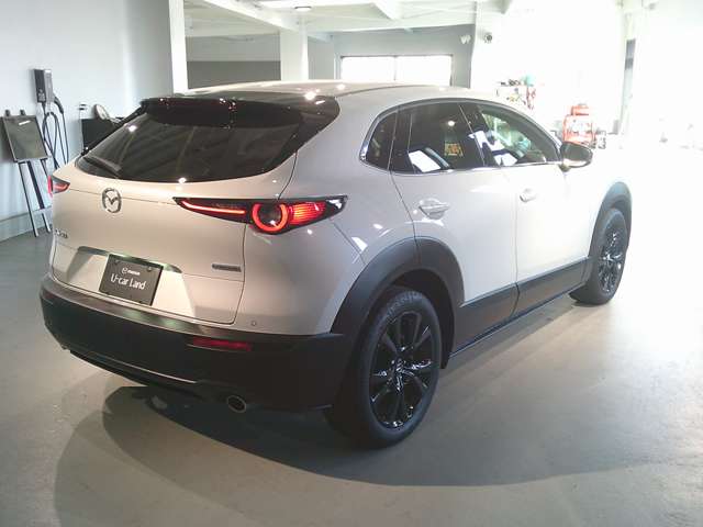 マツダ ＣＸ−３０ ２．０ ２０Ｓ ブラックトーンエディション R6年 (関東) 99
