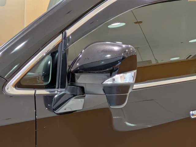 日産 エルグランド ２．５ ２５０ハイウェイスターＳ H27年 (関東) 99