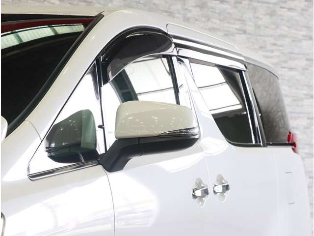 トヨタ アルファード ２．５ Ｓ ４ＷＤ H30年 (関東) 99