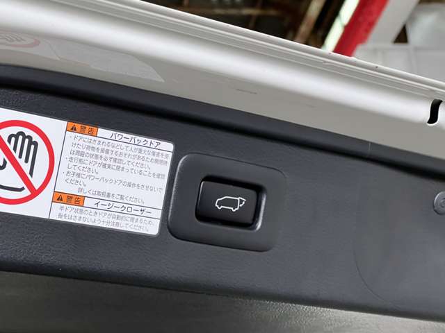 トヨタ アルファード ２．５ Ｓ タイプゴールド ４ＷＤ R3年 (関東) 99