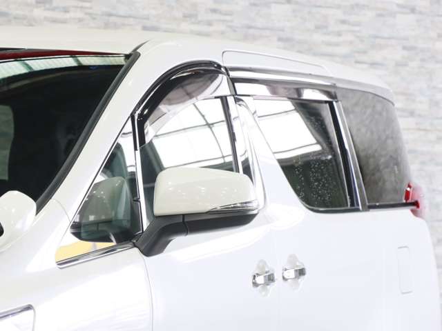 トヨタ アルファード ２．５ Ｓ タイプゴールド ４ＷＤ R3年 (関東) 99