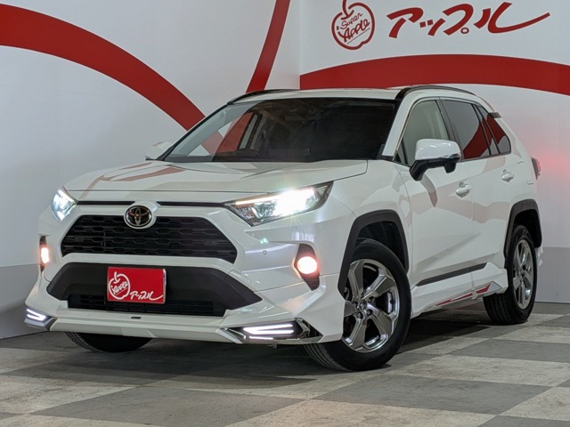 トヨタ ＲＡＶ４ ２．０ Ｘ ４ＷＤ R3年 (東北) 99