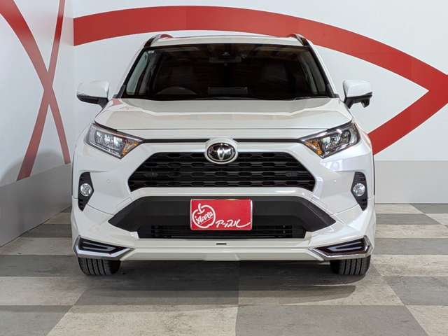 トヨタ ＲＡＶ４ ２．０ Ｘ ４ＷＤ R3年 (東北) 99