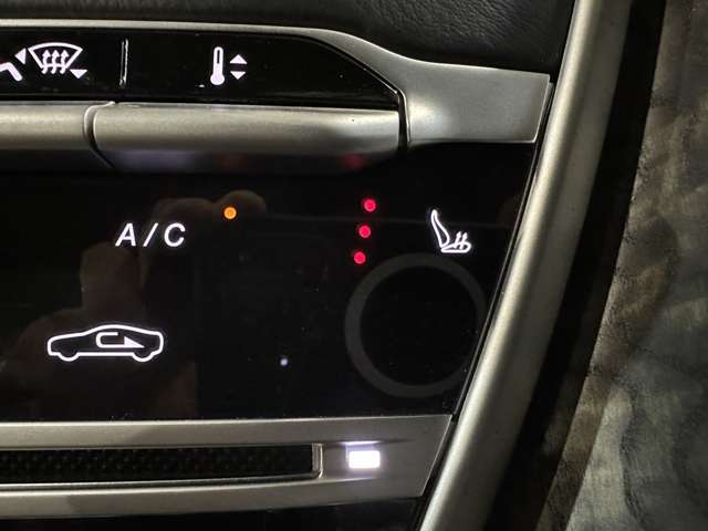 アストンマーティン ＤＢ１１ Ｖ８ H30年 (関東) 99