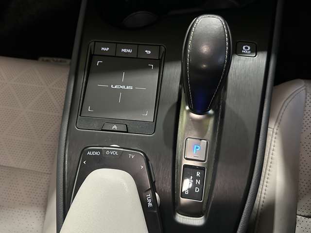 レクサス ＵＸ３００ｅ バージョンＬ R3年 (関東) 99
