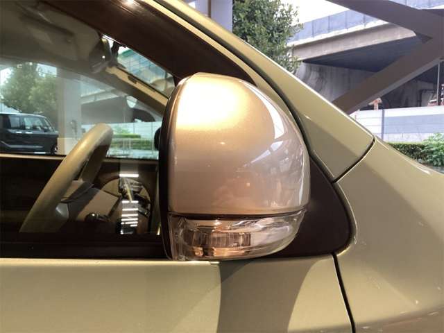 トヨタ パッソ １．３ プラスハナ H22年 (近畿) 99