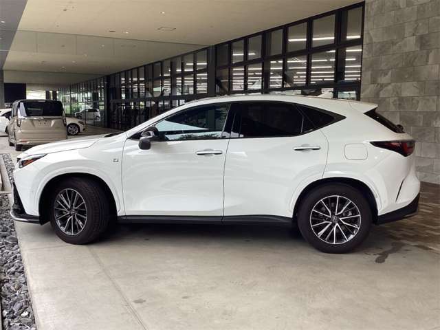 レクサス ＮＸ３５０ｈ Ｆスポーツ R6年 (近畿) 99