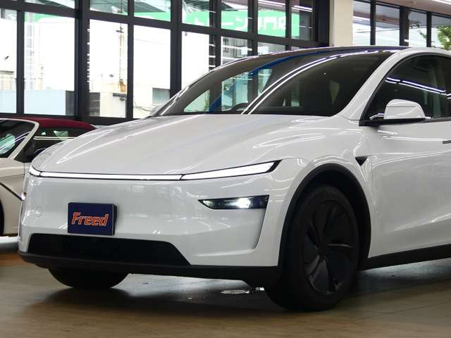 テスラ モデルＹ ロングレンジ R7年 (東海) 99