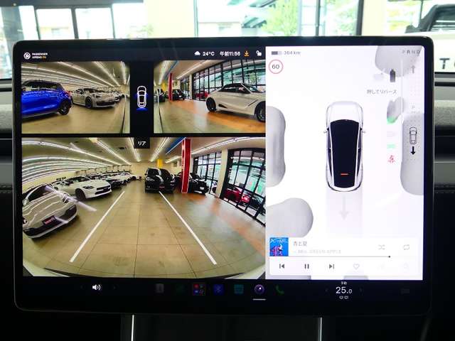 テスラ モデルＹ ロングレンジ R7年 (東海) 99