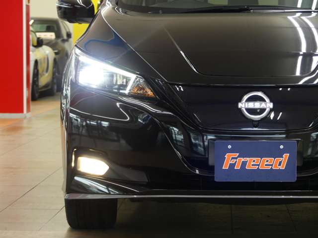 日産 リーフ ｅ＋　Ｇ R6年 (東海) 99
