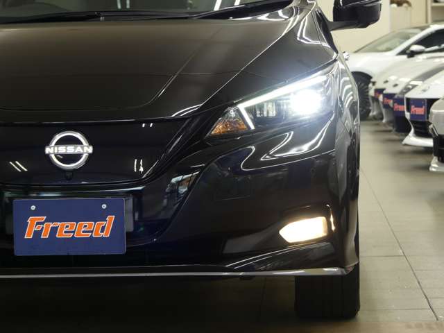 日産 リーフ ｅ＋　Ｇ R6年 (東海) 99