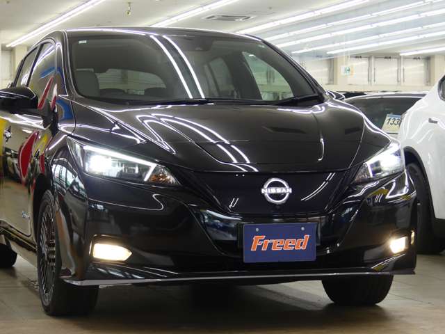 日産 リーフ ｅ＋　Ｇ R6年 (東海) 99