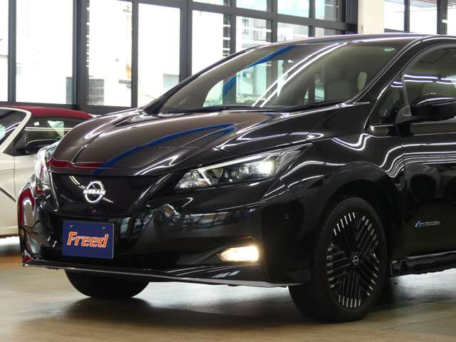 日産 リーフ ｅ＋　Ｇ R6年 (東海) 99