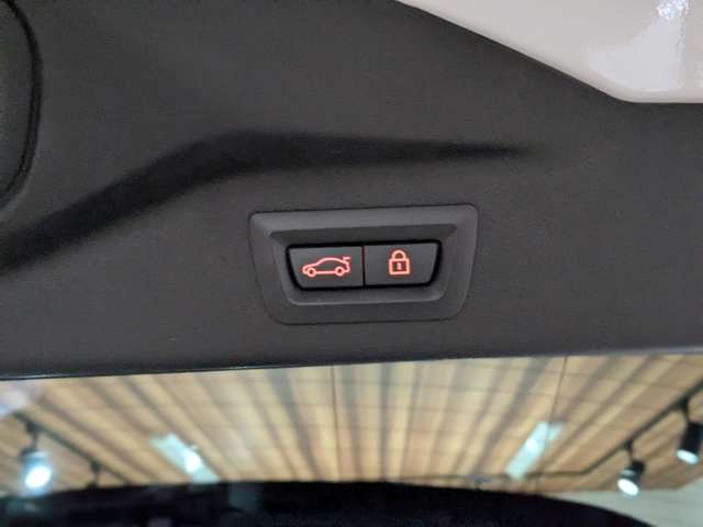ＢＭＷ Ｘ７ Ｘドライブ３５Ｄ Ｍスポーツ ディーゼルターボ ４ＷＤ R1年 () 99