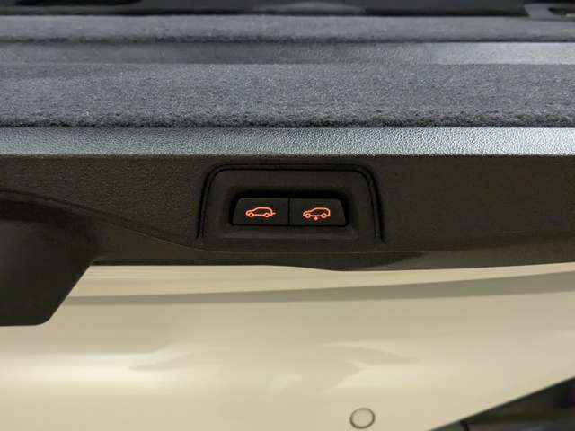 ＢＭＷ Ｘ７ Ｘドライブ３５Ｄ Ｍスポーツ ディーゼルターボ ４ＷＤ R1年 () 99