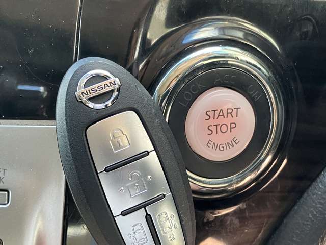 日産 エルグランド ２．５ ２５０ハイウェイスターＳ H30年 (関東) 99
