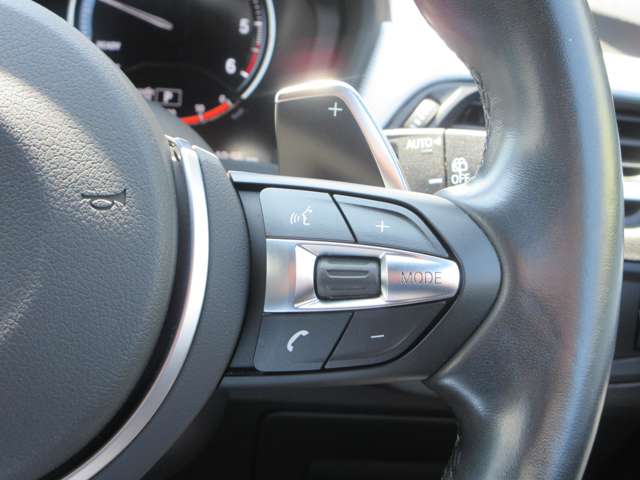 ＢＭＷ Ｘ１ Ｘドライブ １８Ｄ Ｍスポーツ ４ＷＤ R1年 (近畿) 99