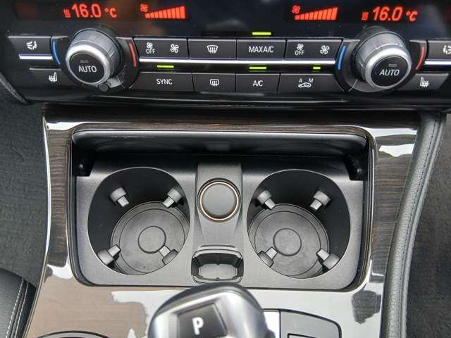 ＢＭＷ ５シリーズ ５２３Ｄ ラグジュアリー ディーゼルターボ H29年 () 99