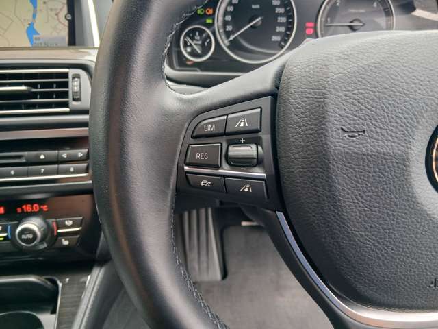ＢＭＷ ５シリーズ ５２３Ｄ ラグジュアリー ディーゼルターボ H29年 () 99