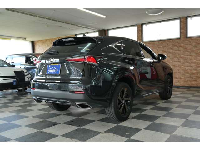 レクサス ＮＸ３００ ３００ ブロンズ エディション ４ＷＤ R2年 (東北) 99