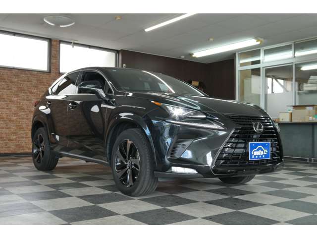 レクサス ＮＸ３００ ３００ ブロンズ エディション ４ＷＤ R2年 (東北) 99