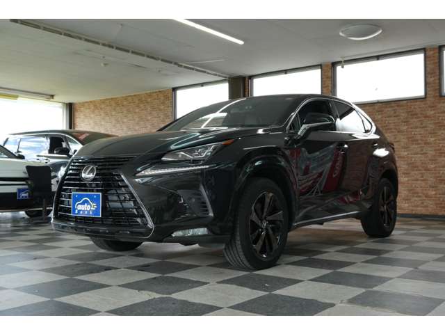 レクサス ＮＸ３００ ３００ ブロンズ エディション ４ＷＤ R2年 (東北) 99